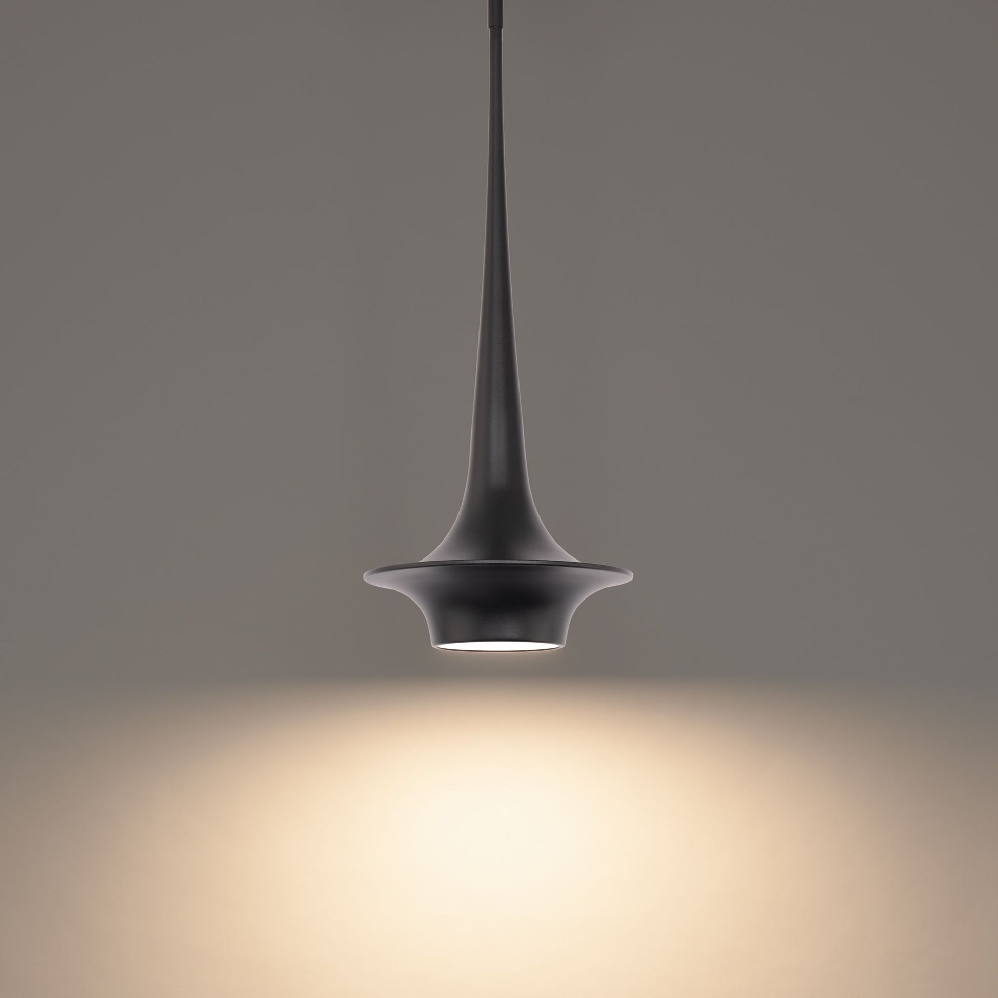 Hugo 24" LED Mini Pendant, Black Finish - Bees Lighting