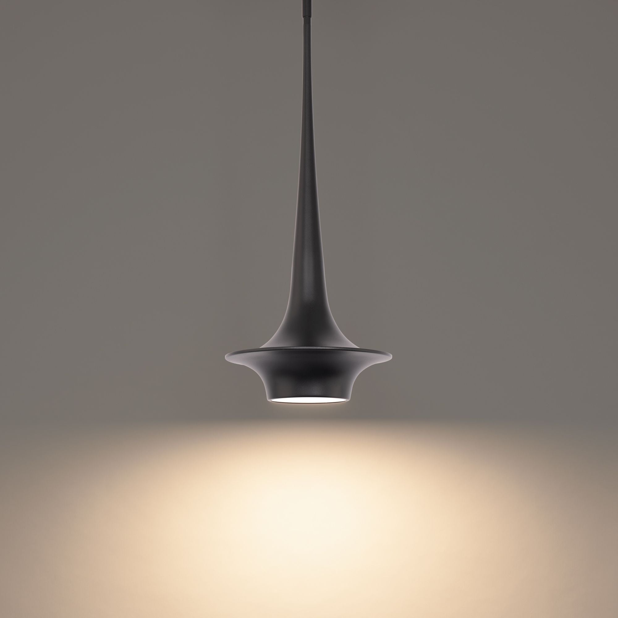Hugo 24" LED Mini Pendant, Black Finish - Bees Lighting
