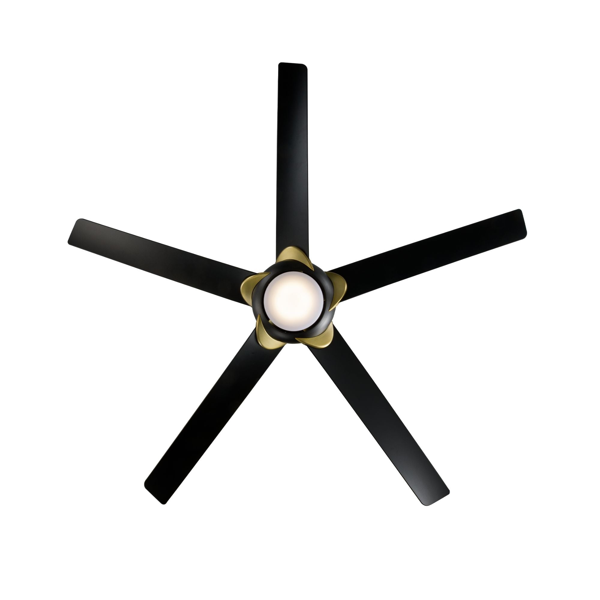 Lucid 62" LED Smart Outdoor Ceiling Fan, Matte Black