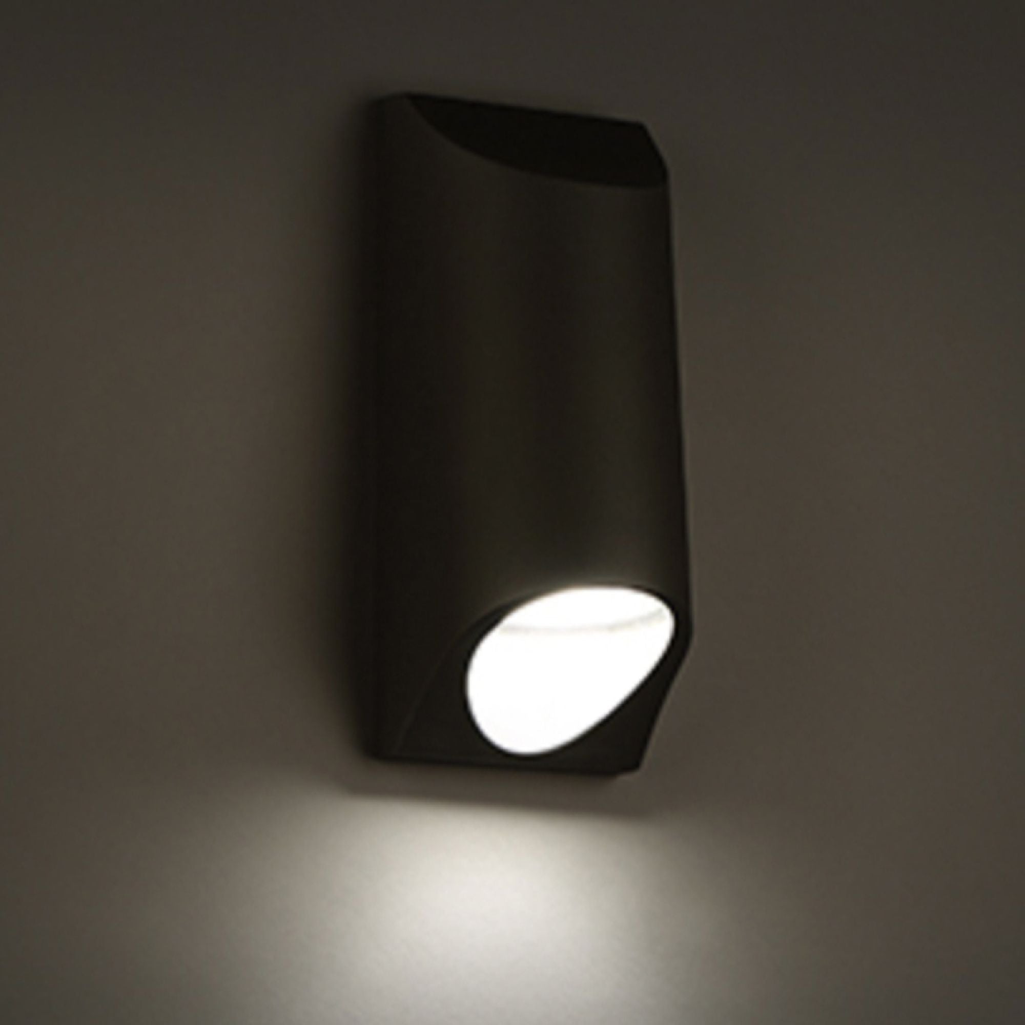 LED Outdoor Wall Light, 22W, 1621 Lumens, 3000K, 120-277V, Black