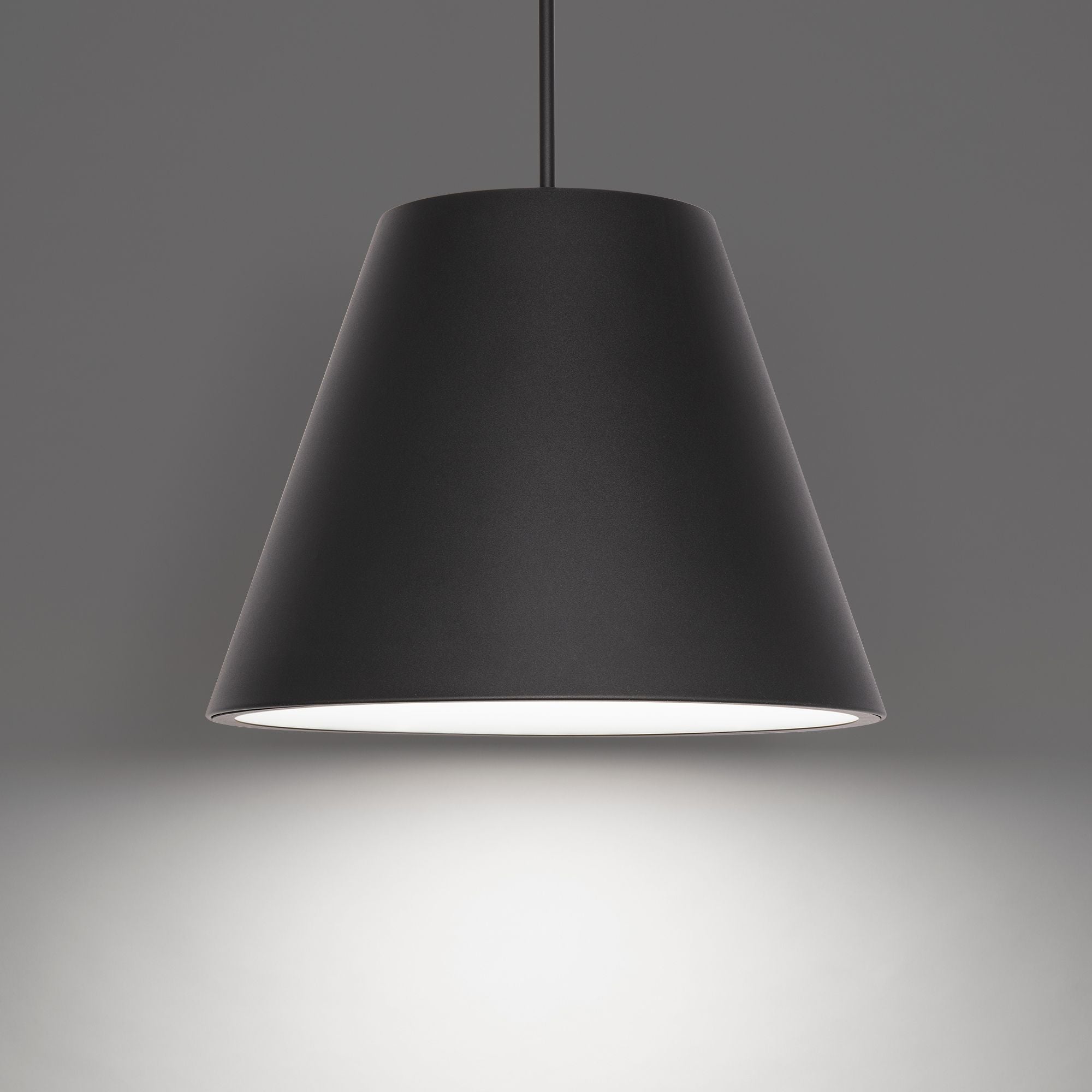 Myla 20" LED Outdoor Pendant, 3000K, Black Finish