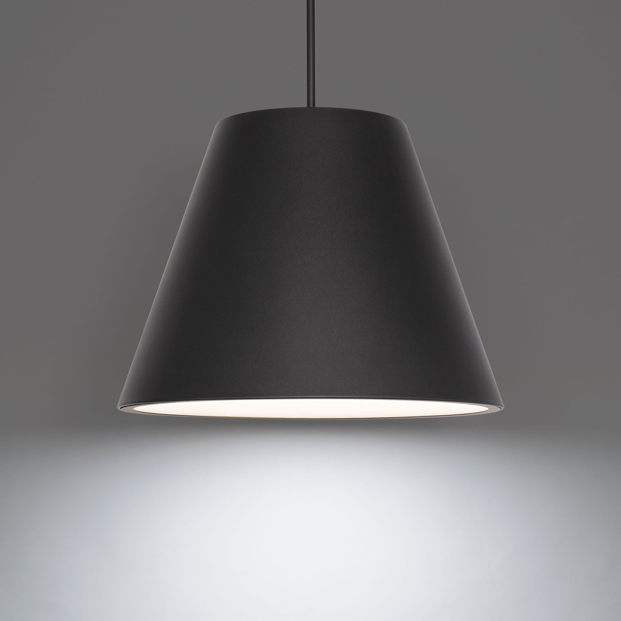 Myla 20" LED Outdoor Pendant, 4000K, Black Finish
