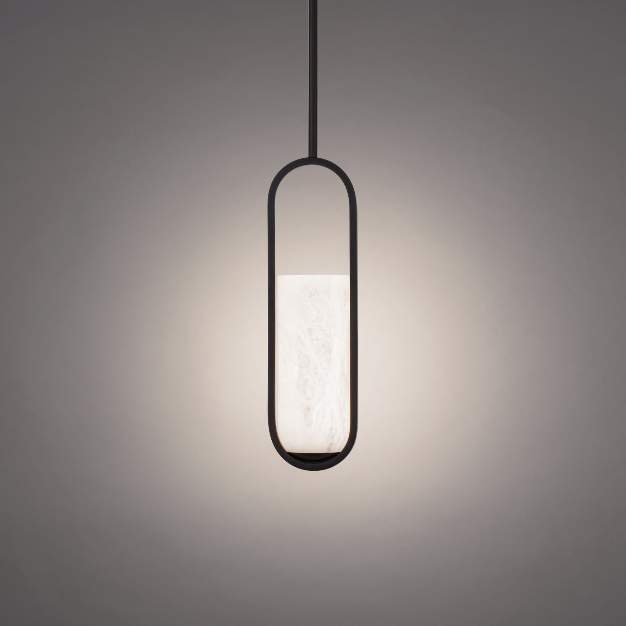Rollins 16" LED Mini Pendant, Black Finish