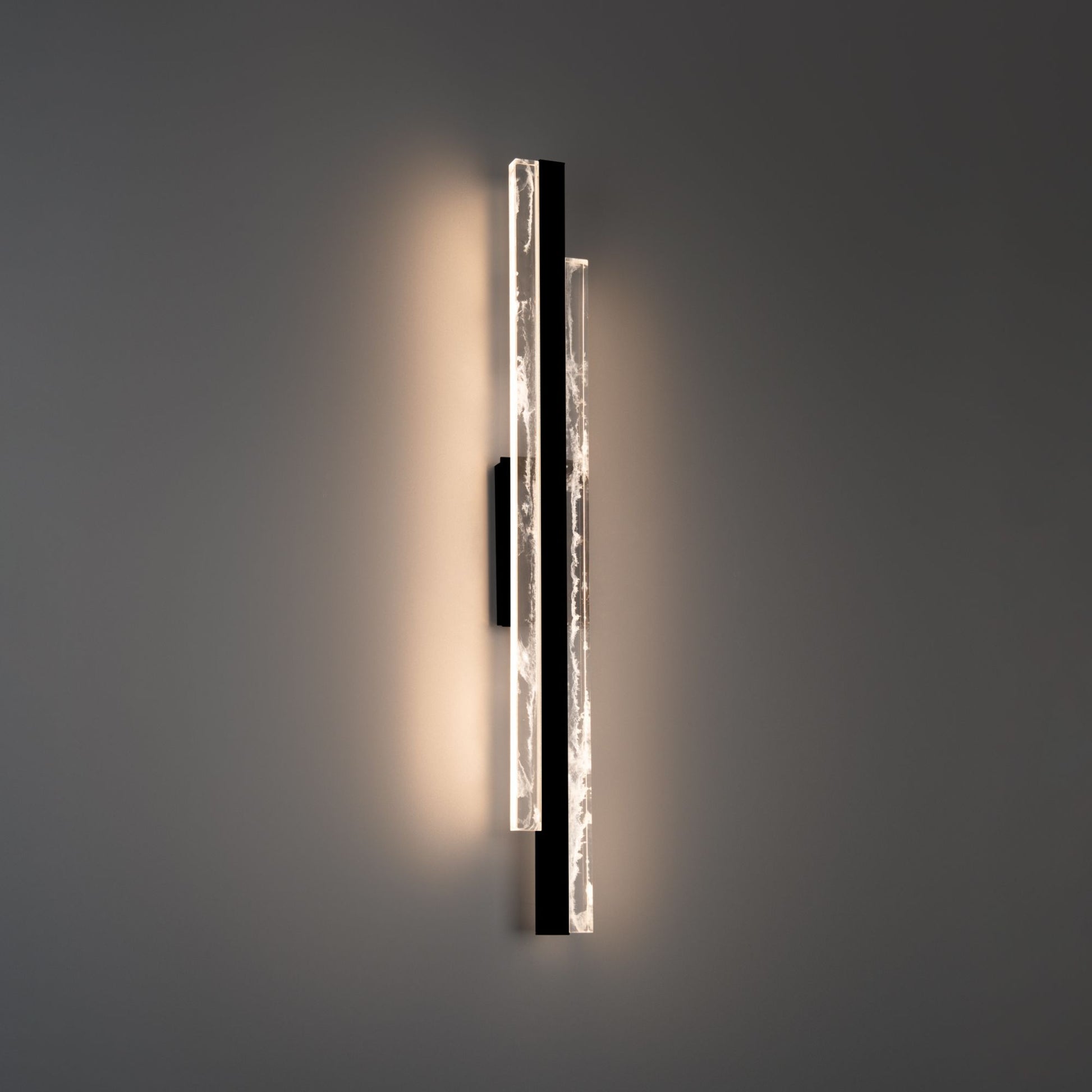 Tandem 27" LED Bath Light, Black Finish - Bees Lighting