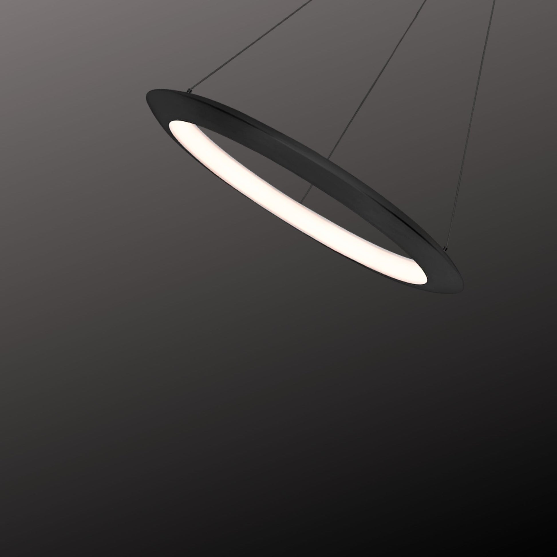 The Ring 36" LED Pendant, 3000K, Black Finish - Bees Lighting