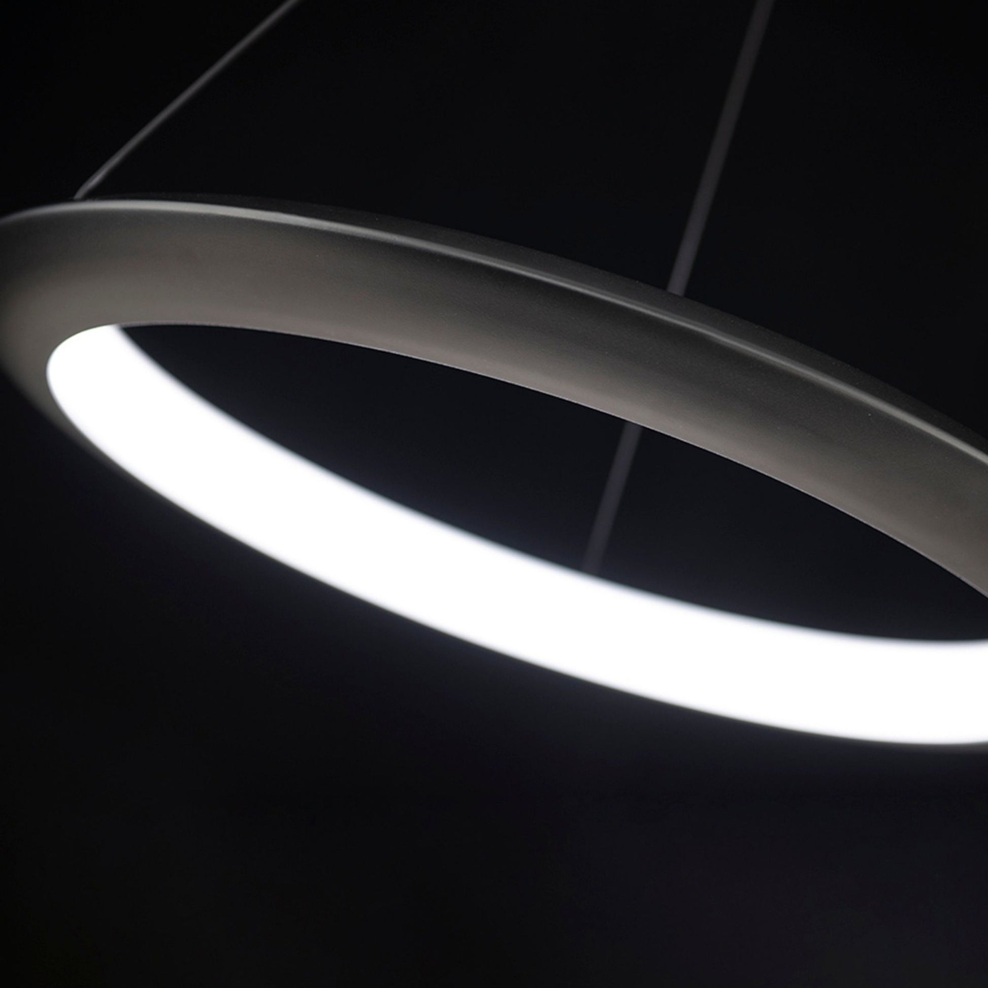 The Ring 48" LED Pendant, 3000K, Black Finish - Bees Lighting