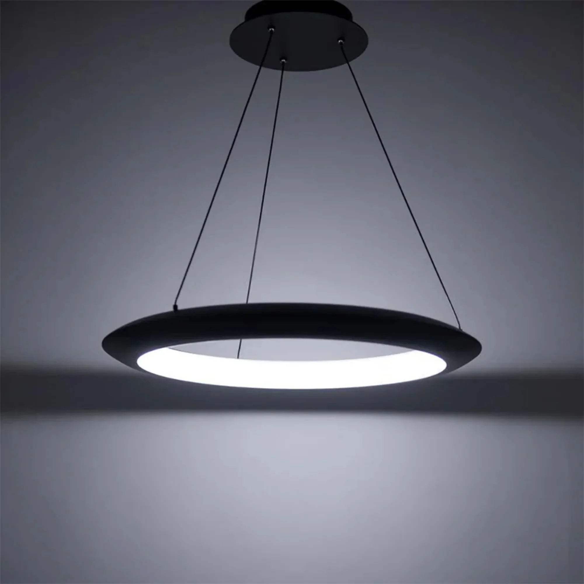 Modern Forms - The Ring 24" LED Pendant, 3000K, Black Finish | Bees Lighting