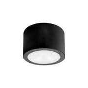 Modern Forms Vessel 5.5 in. Outdoor Ceiling Light, Black with Silk-Screened Glass