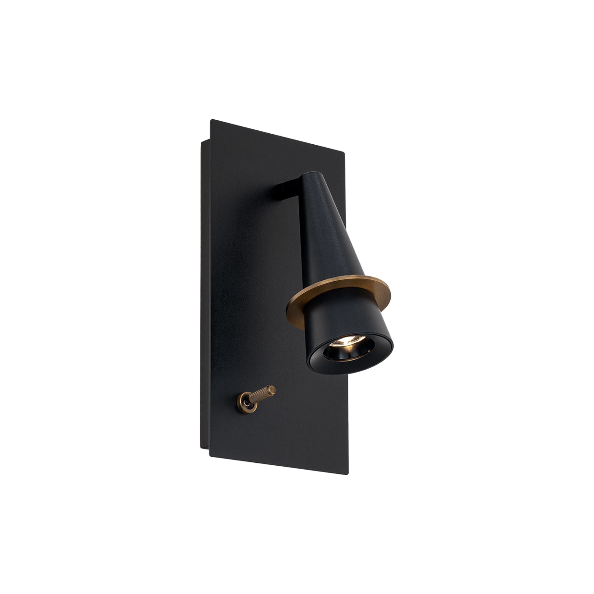 Wizard 10" LED Task Light, Black & Aged Brass Finish