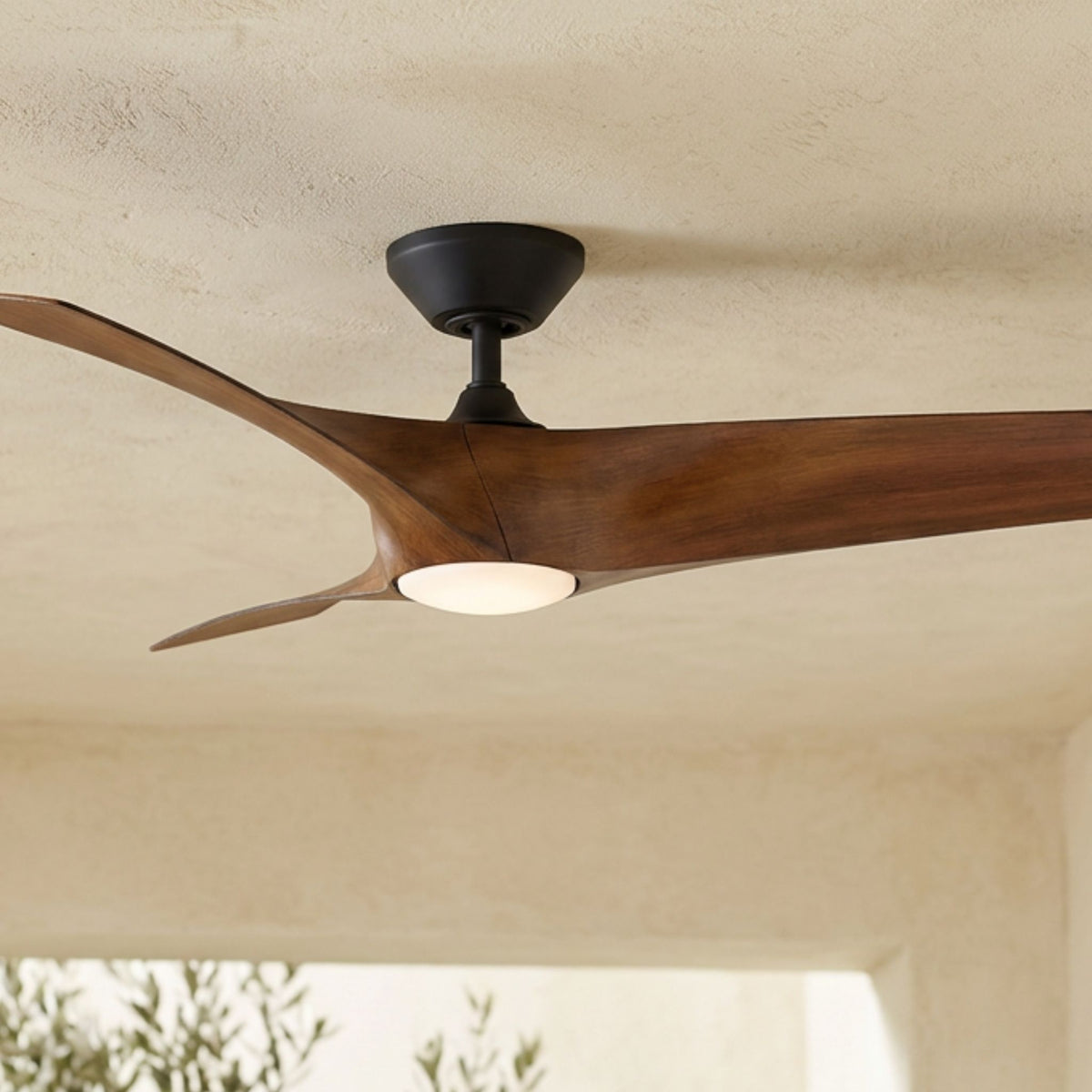 Modern Forms Zephyr 52 in outdoor LED ceiling fan with matte black motor housing and distressed koa wood blades against a.