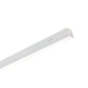 120V Bravo FROST Tunable White LED Linear - Bees Lighting