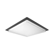 Frosted Drop Lens & Door Frame Kit, Scews Included, Bronze - Bees Lighting