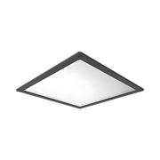Frosted Flat Lens & Door Frame Kit, Scews Included, Bronze - Bees Lighting