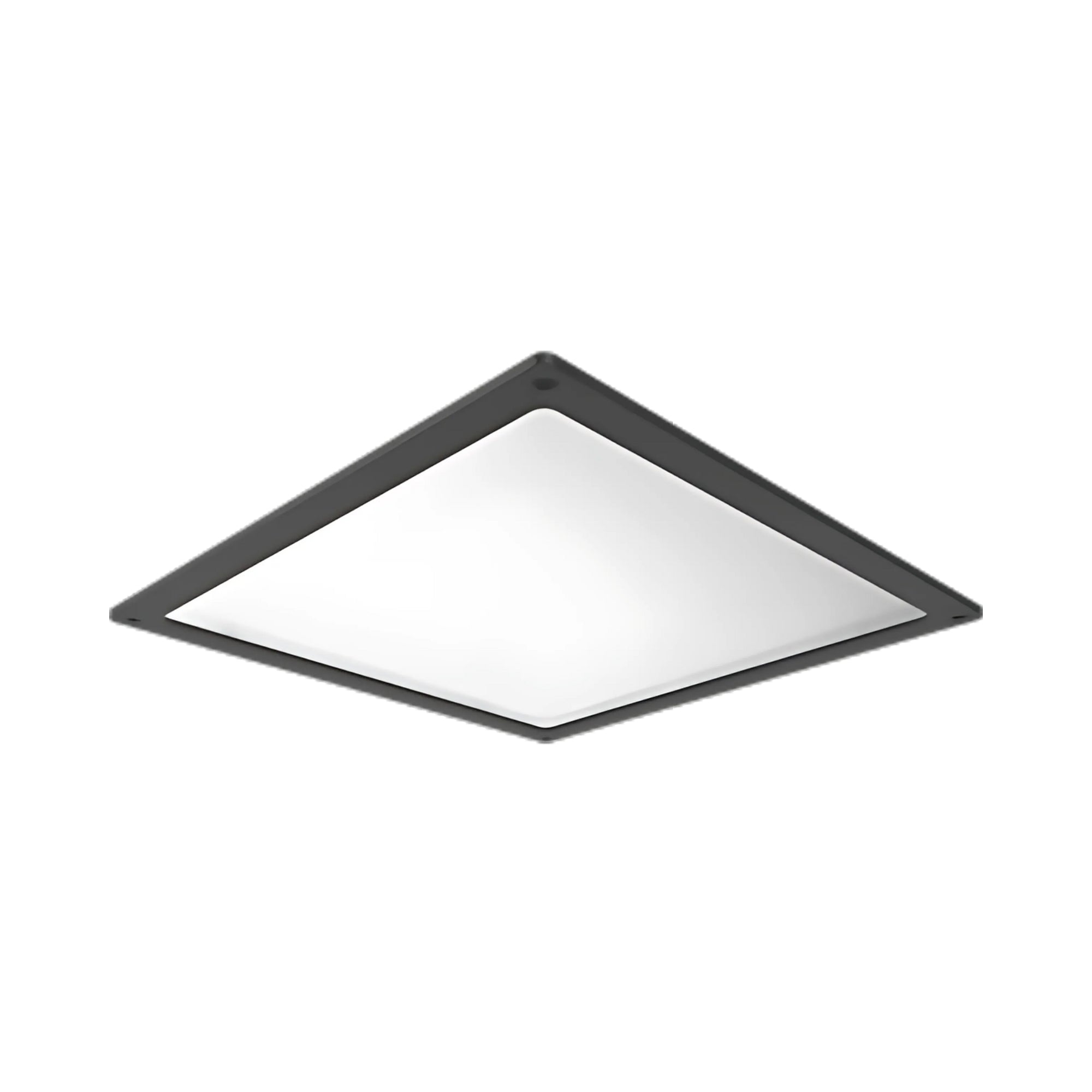 Frosted Flat Lens & Door Frame Kit, Scews Included, Bronze - Bees Lighting