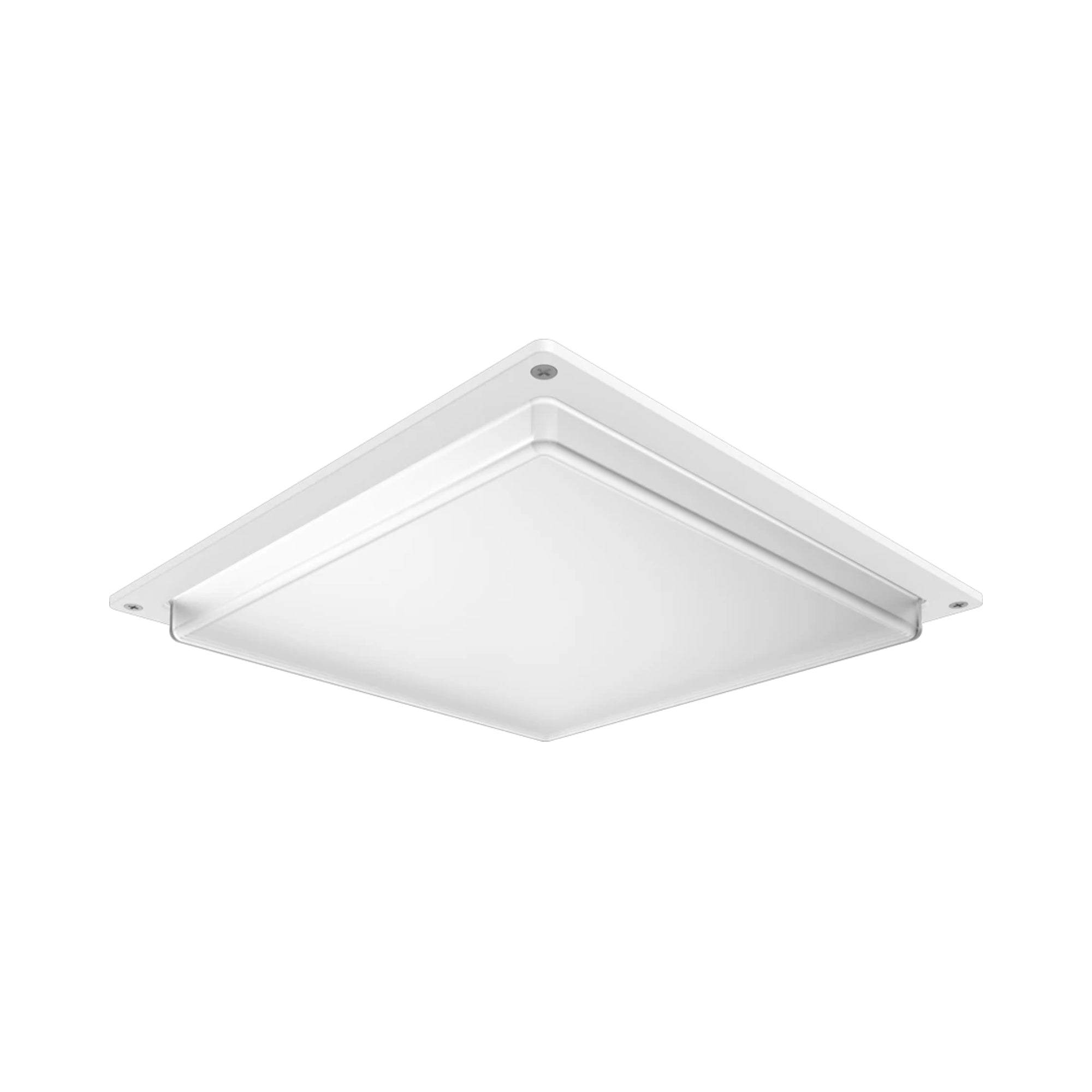 Frosted Drop Lens & Door Frame Kit, Scews Included, White - Bees Lighting