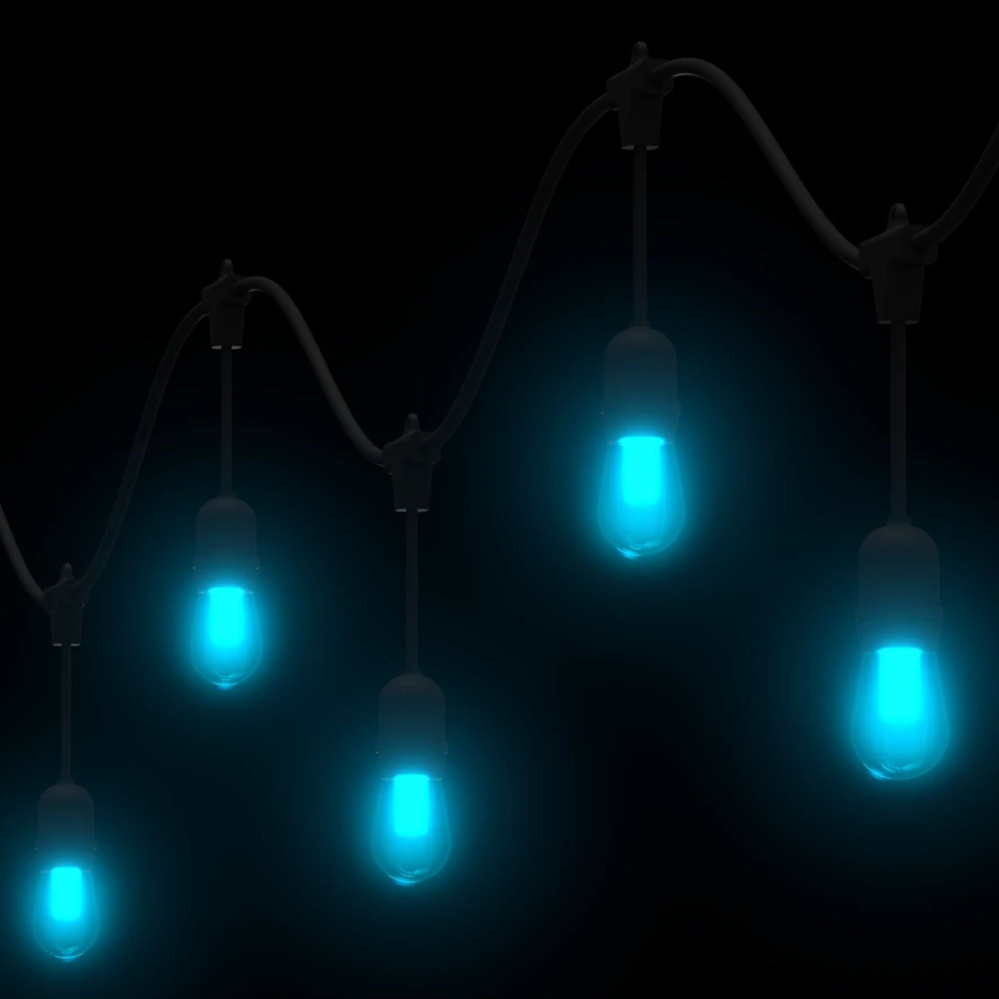 RAB GLow 50 ft String Lights, 24-S14 Bulbs, Tunable White/RGB, 120-277V, Lightcloud Blue