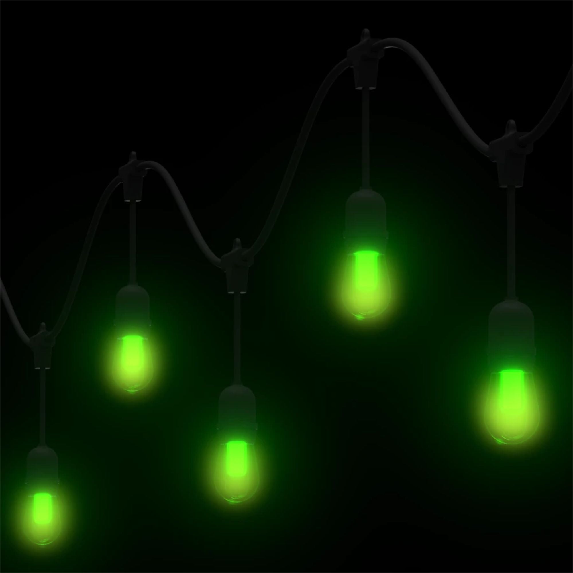 RAB GLow 50 ft String Lights, 24-S14 Bulbs, Tunable White/RGB, 120-277V, Lightcloud Blue