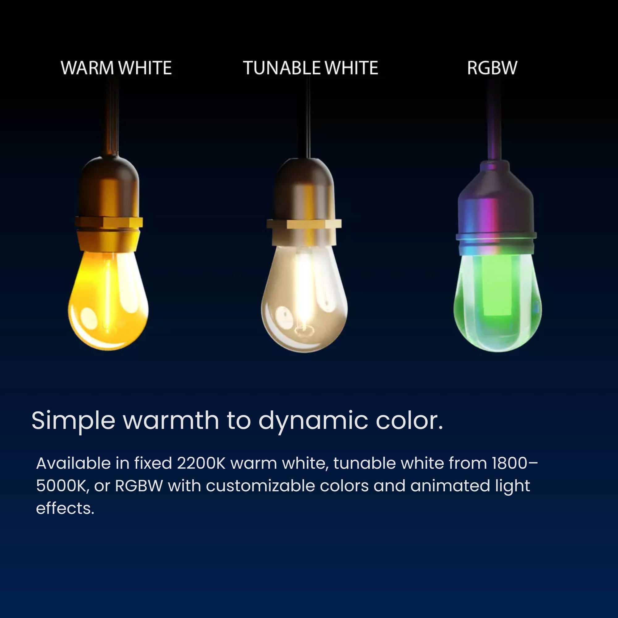 RAB GLow 50 ft String Lights, 24-S14 Bulbs, 2200K, 1560 Lumens, 120V