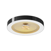 RAB Aura 16" Flush Mount Light, Selectable CCT, Black Housing Gold Reftector