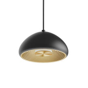 RAB Aura 8 in. LED Pendant Light, Black Housing Gold Reflector