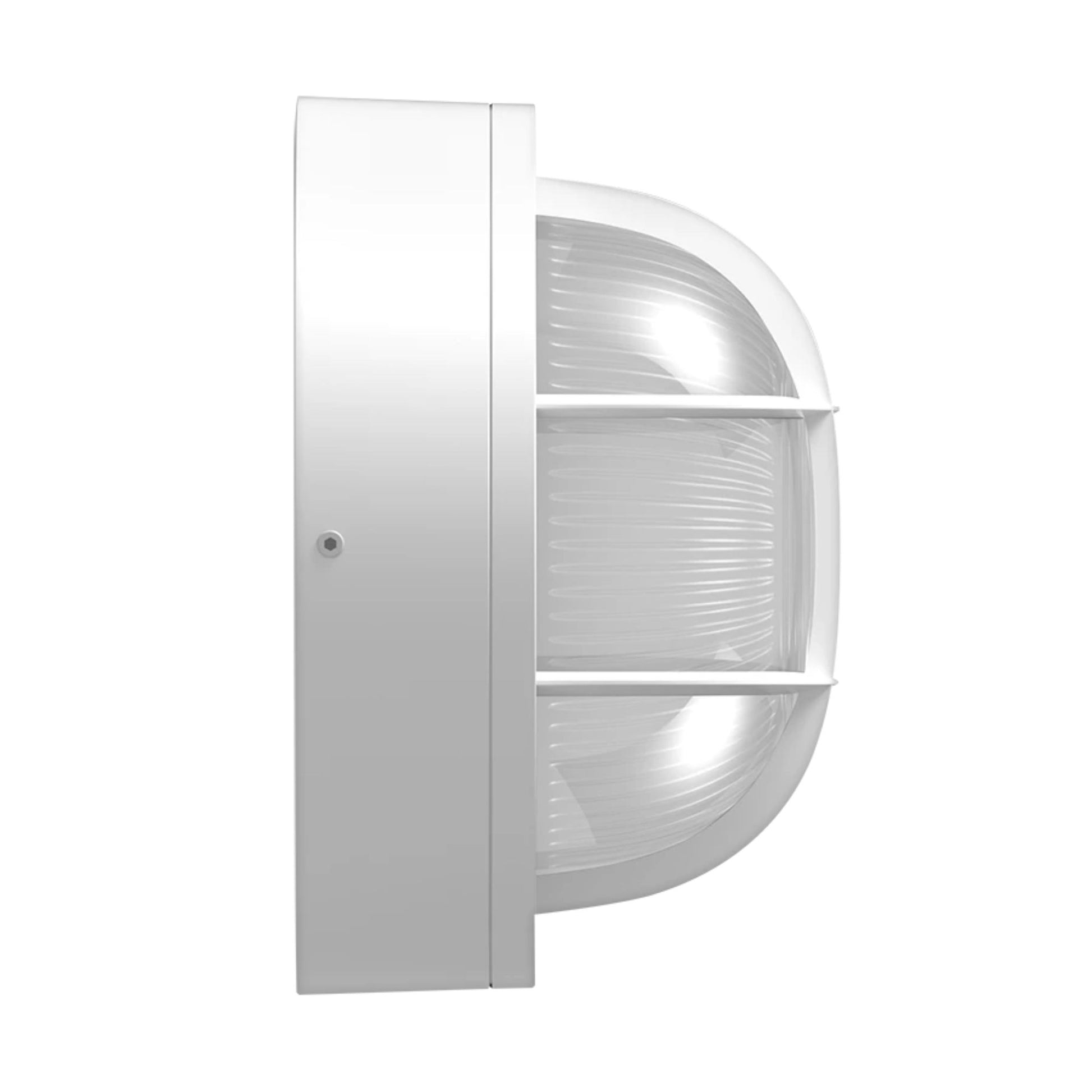 8" Round Bulkhead Wall Sconce, 1600 Lm, 30K/40K/50K, White, 120-277V - Bees Lighting