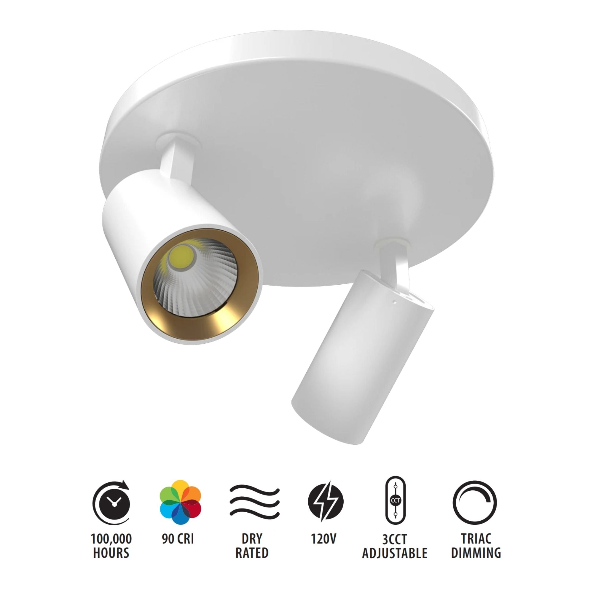 RAB Surface Mount 2 Heads, White, Selectable CCT, 1130 Lumens, 36° Optics