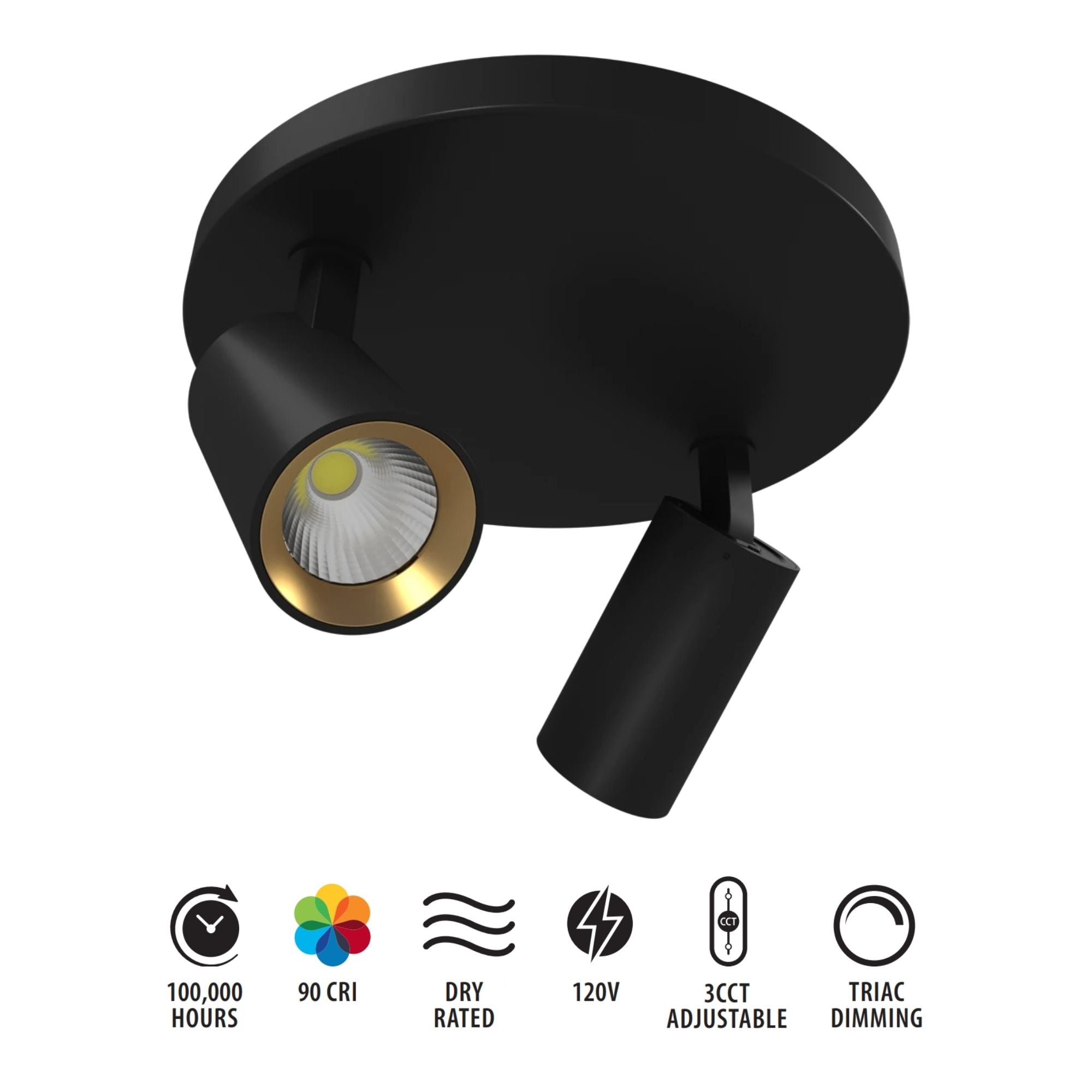 RAB Surface Mount 2 Heads, Black, Selectable CCT, 1130 Lumens, 36° Optics