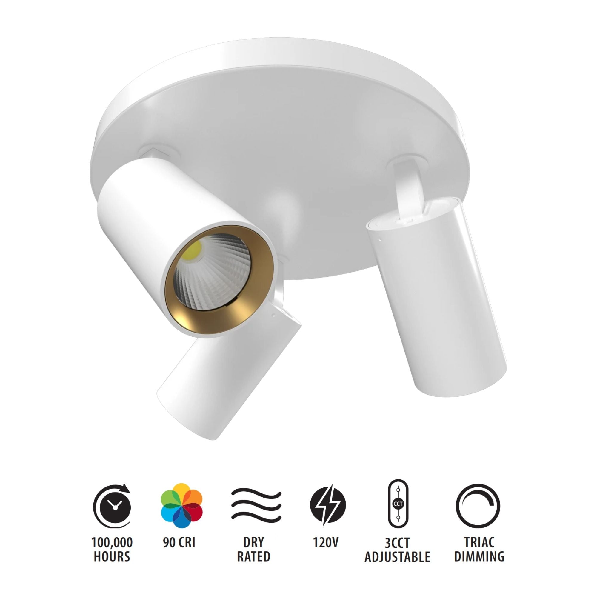 RAB Surface Mount 3 Heads, White, Selectable CCT, 1667 Lumens, 36° Optics