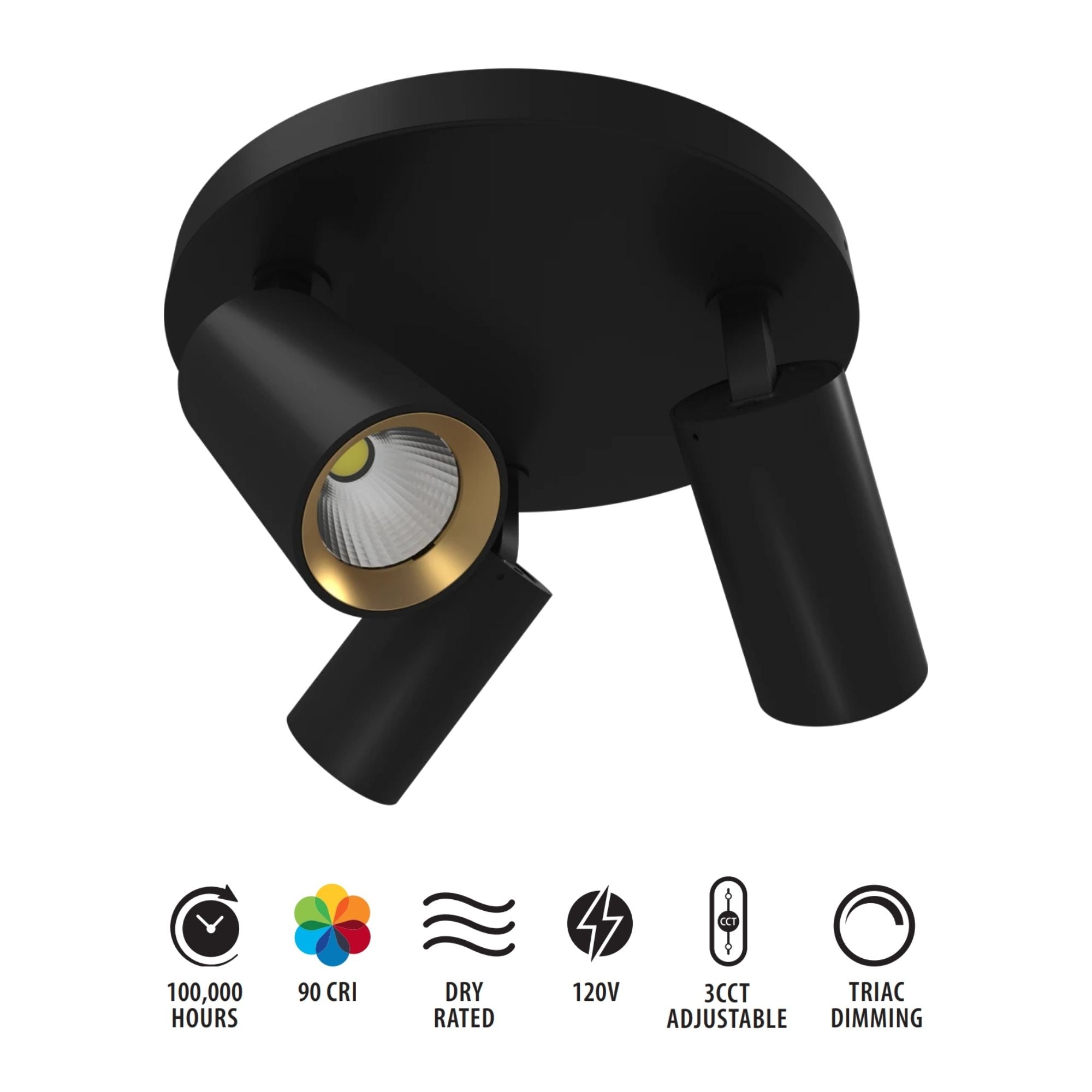 RAB Surface Mount 3 Heads, Black, Selectable CCT, 1667 Lumens, 36° Optics