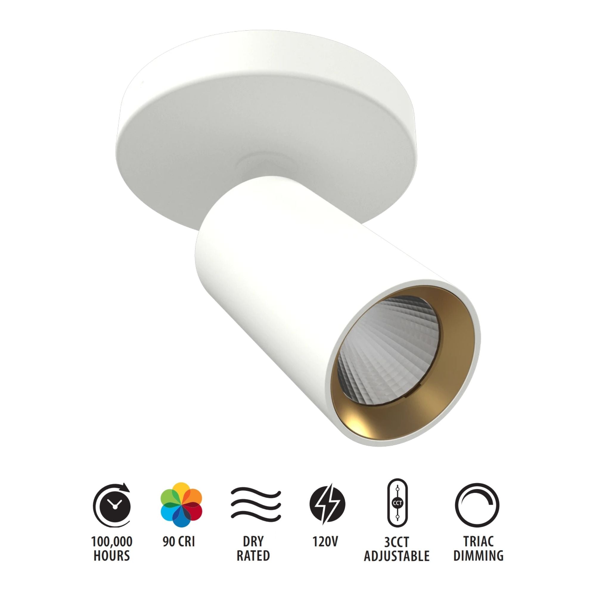 RAB Surface Mount Spot, White, Selectable CCT, 563 Lumens, 36° Optics