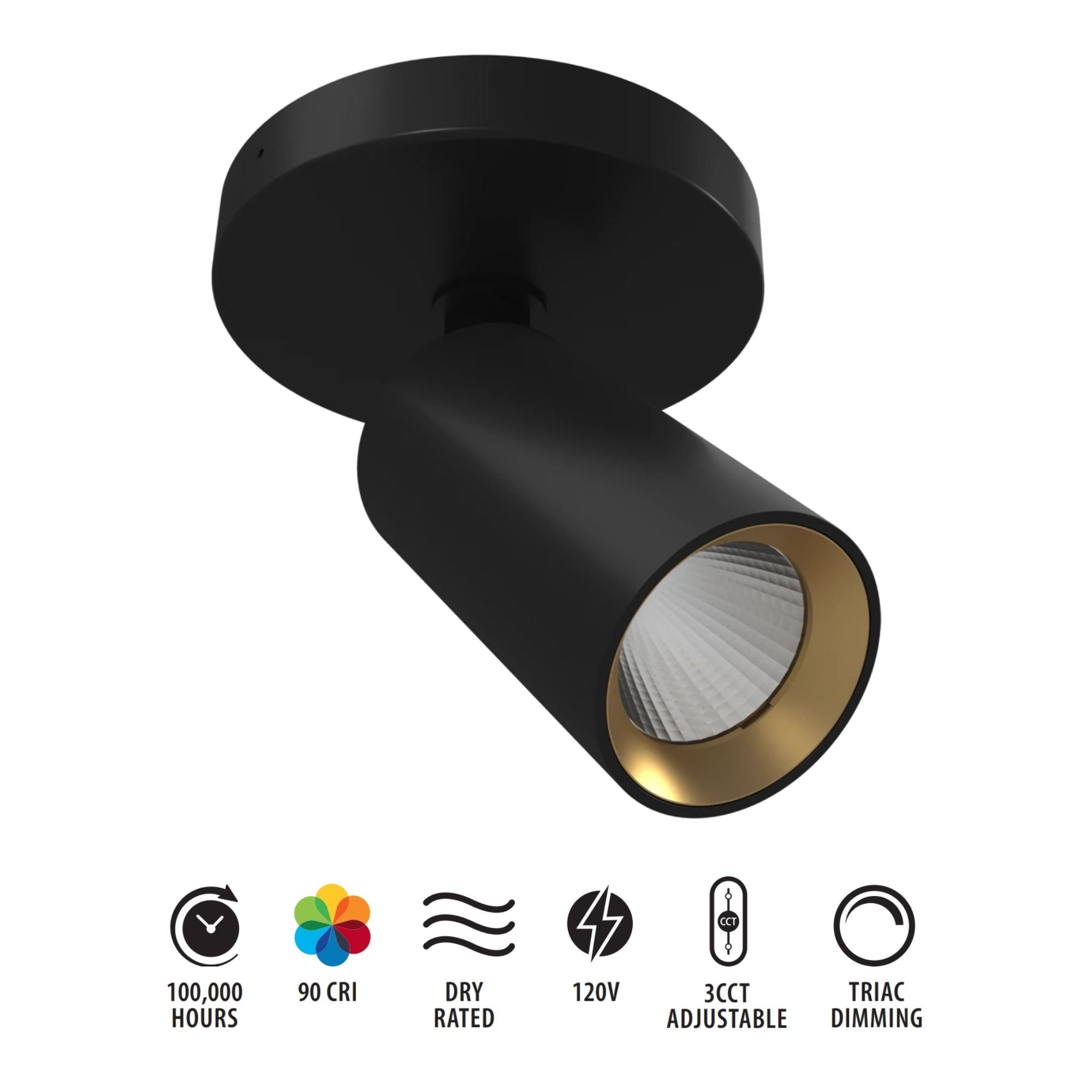RAB Surface Mount Spot, Black, Selectable CCT, 563 Lumens, 36° Optics