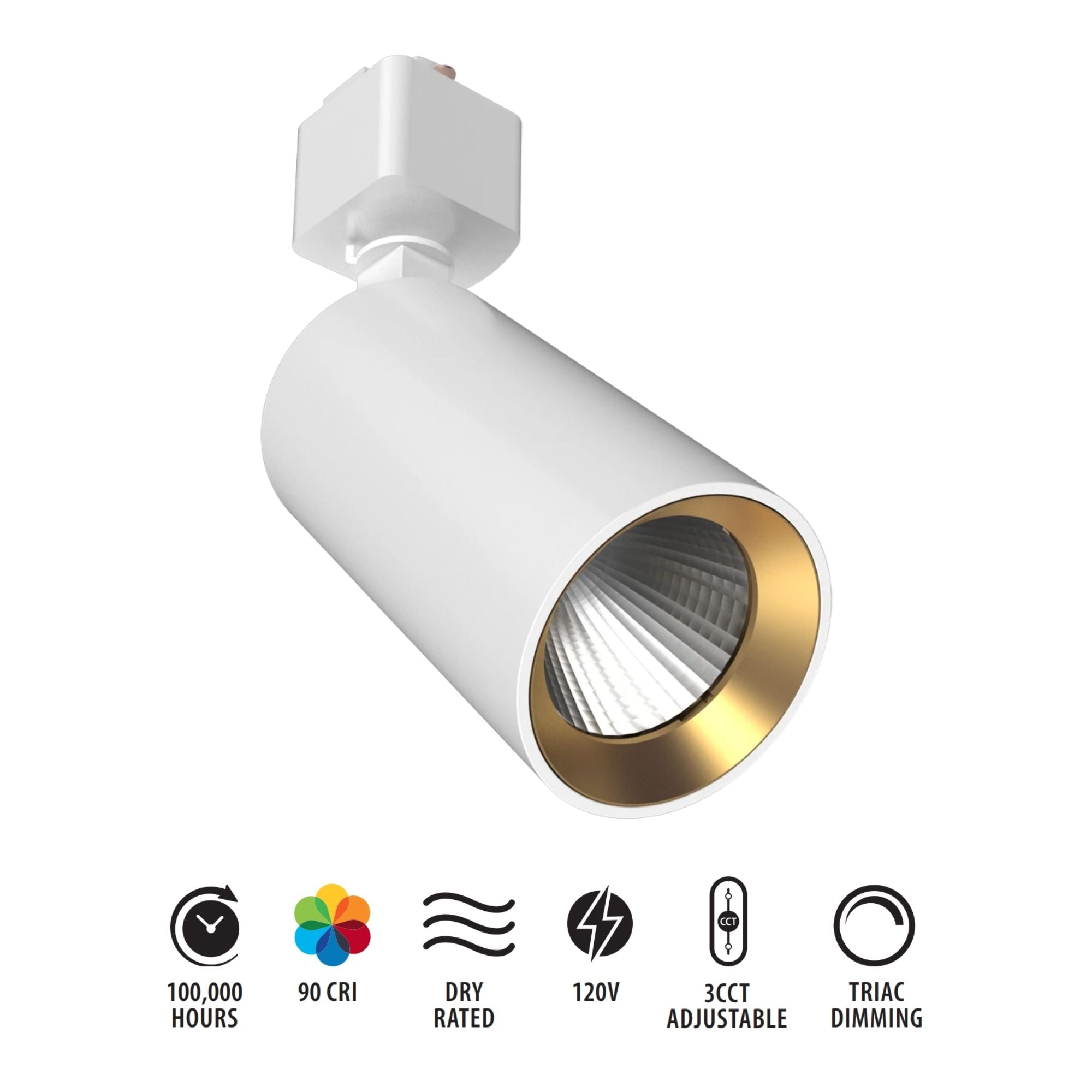 RAB Track Head, H-Type, White, Selectable CCT, 572 Lumens, 36° Optics