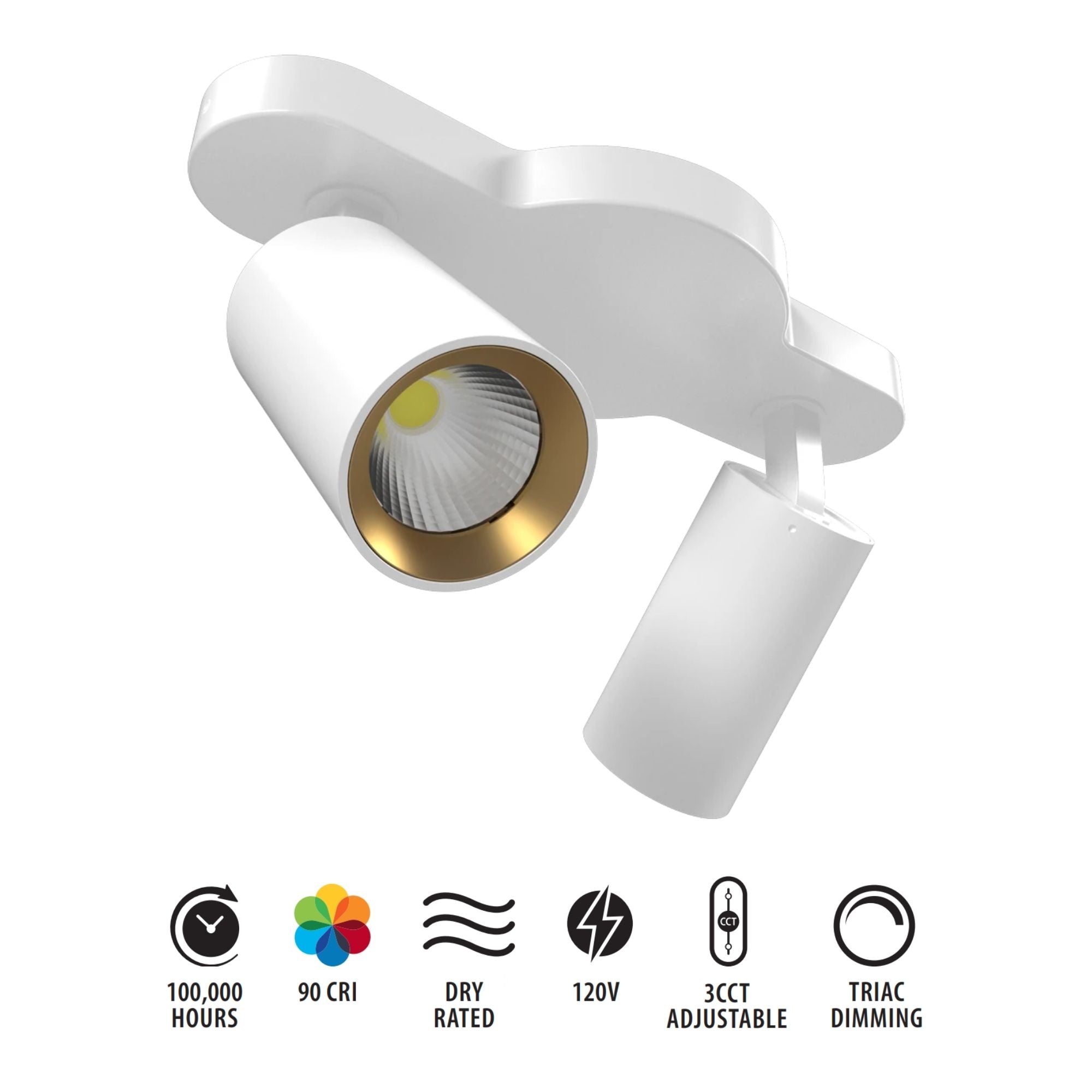 RAB 2-Head Track Fixture, White, Selectable CCT, 1136 Lumens, 36° Optics