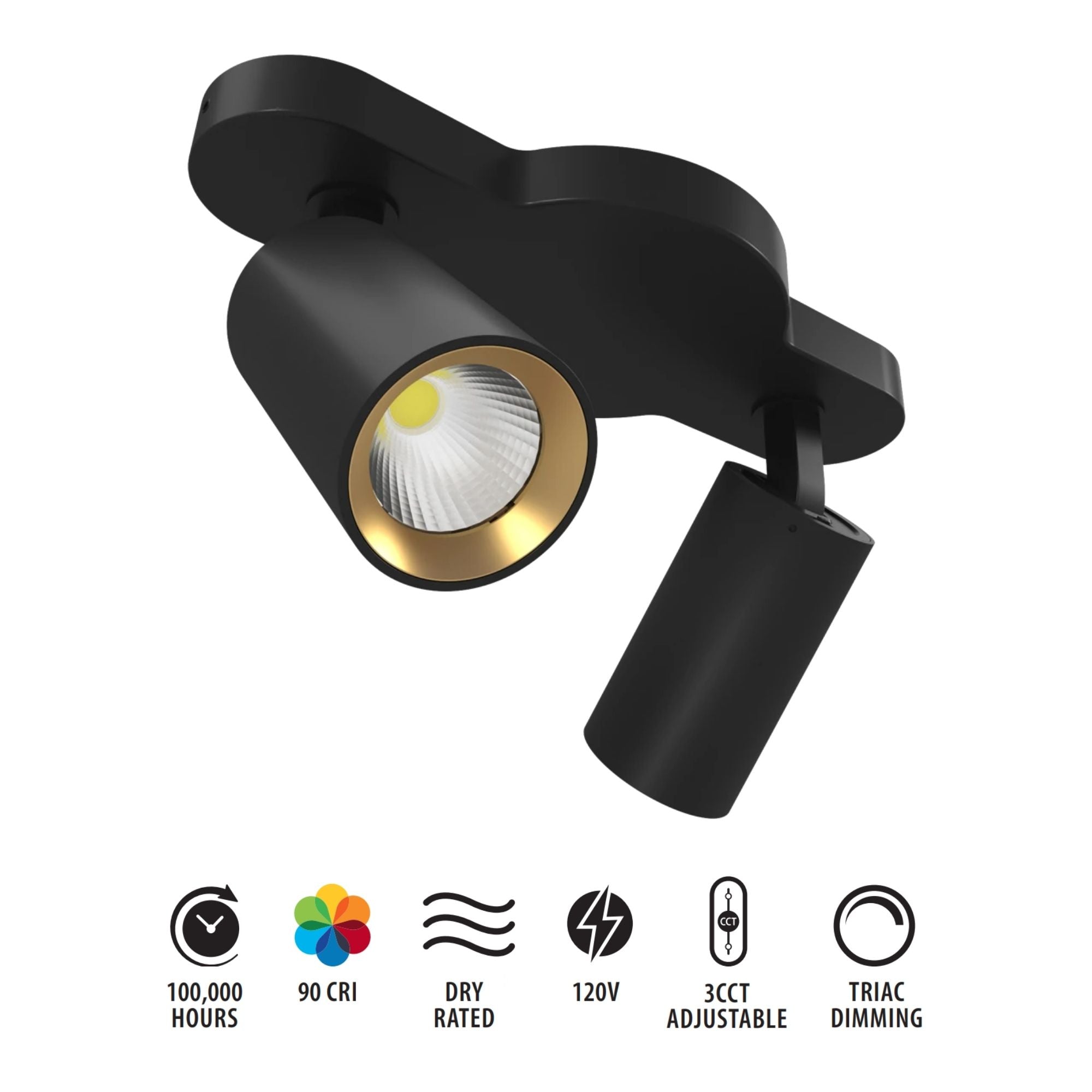 RAB 2-Head Track Fixture, Black, Selectable CCT, 1136 Lumens, 36° Optics