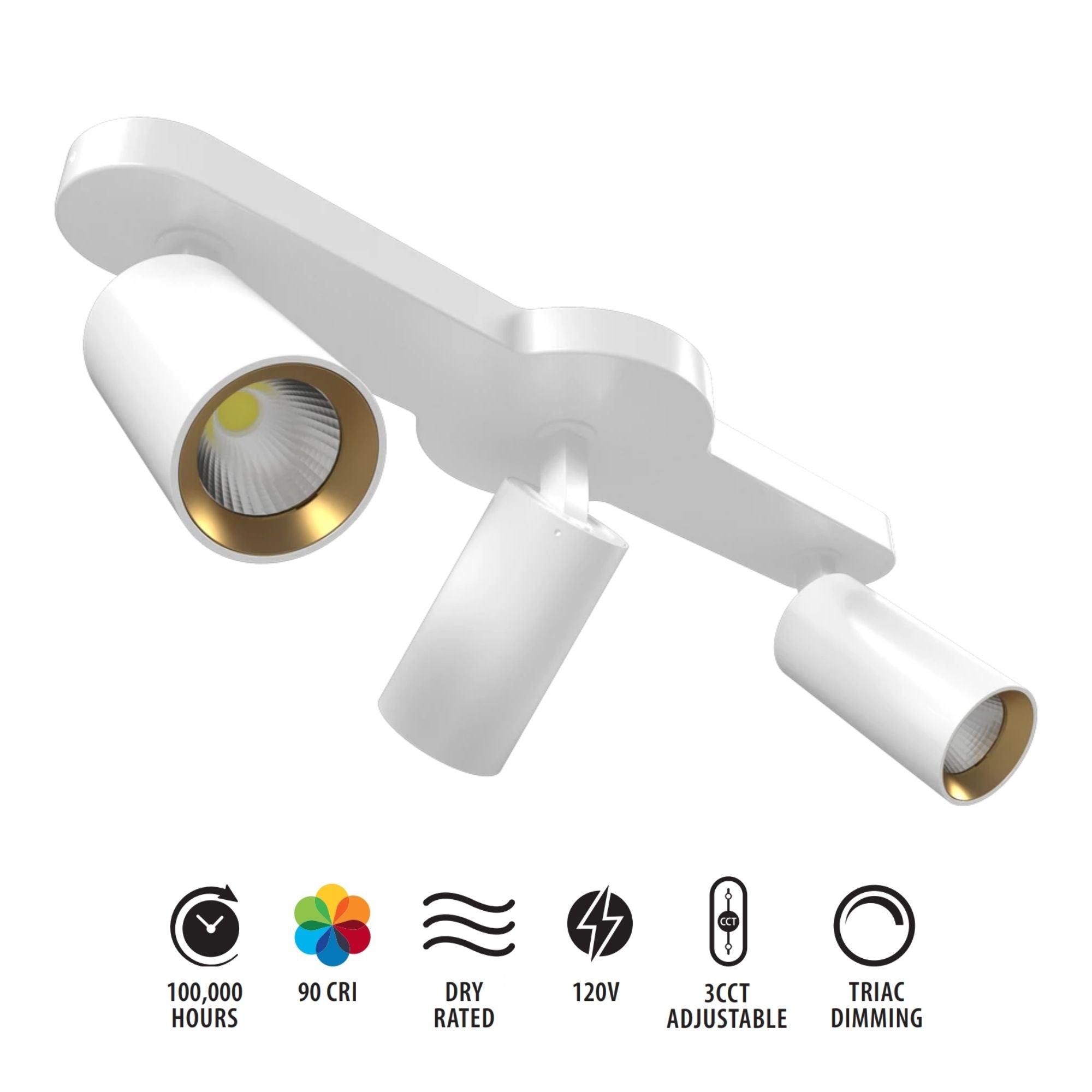 RAB 3-Head Track Fixture, White, Selectable CCT, 1698 Lumens, 36° Optics