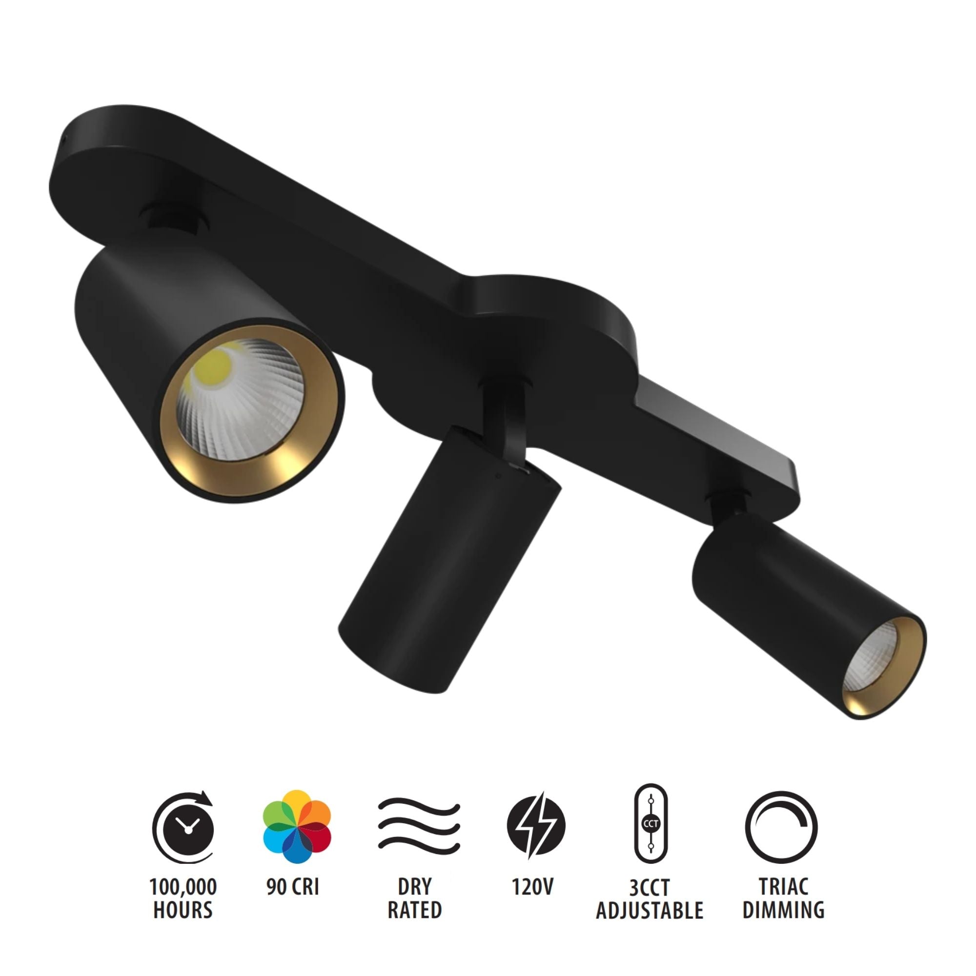 RAB 3-Head Track Fixture, Black, Selectable CCT, 1698 Lumens, 36° Optics