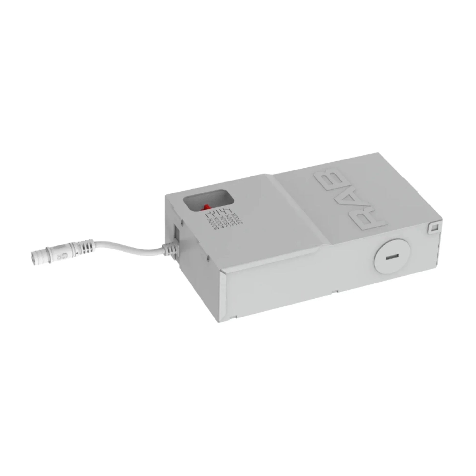RAB Lighting - RAB 120-277V Universal LED Driver for 4" HALED | Bees Lighting