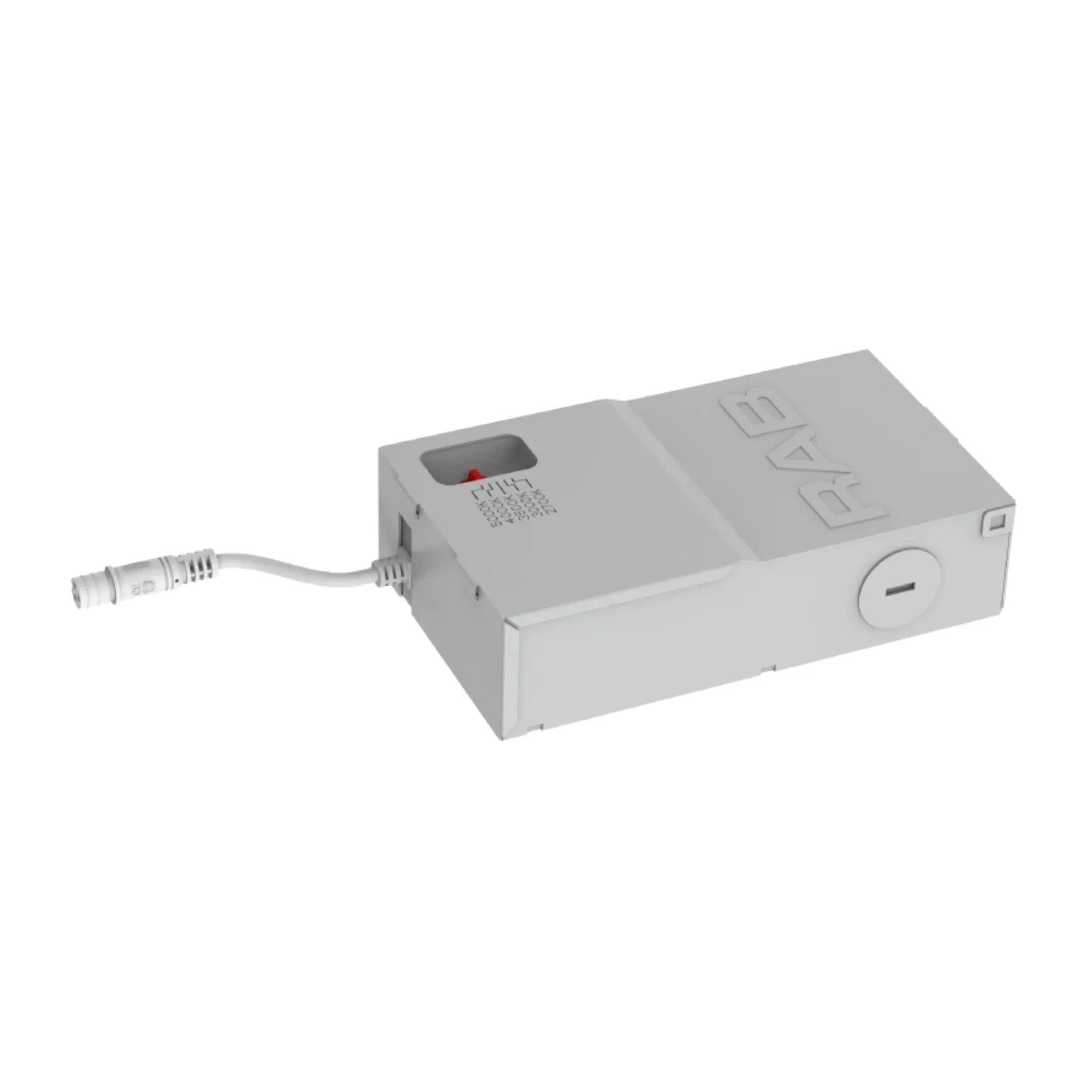 RAB Lighting - RAB 120-277V Universal LED Driver for 4" HALED | Bees Lighting