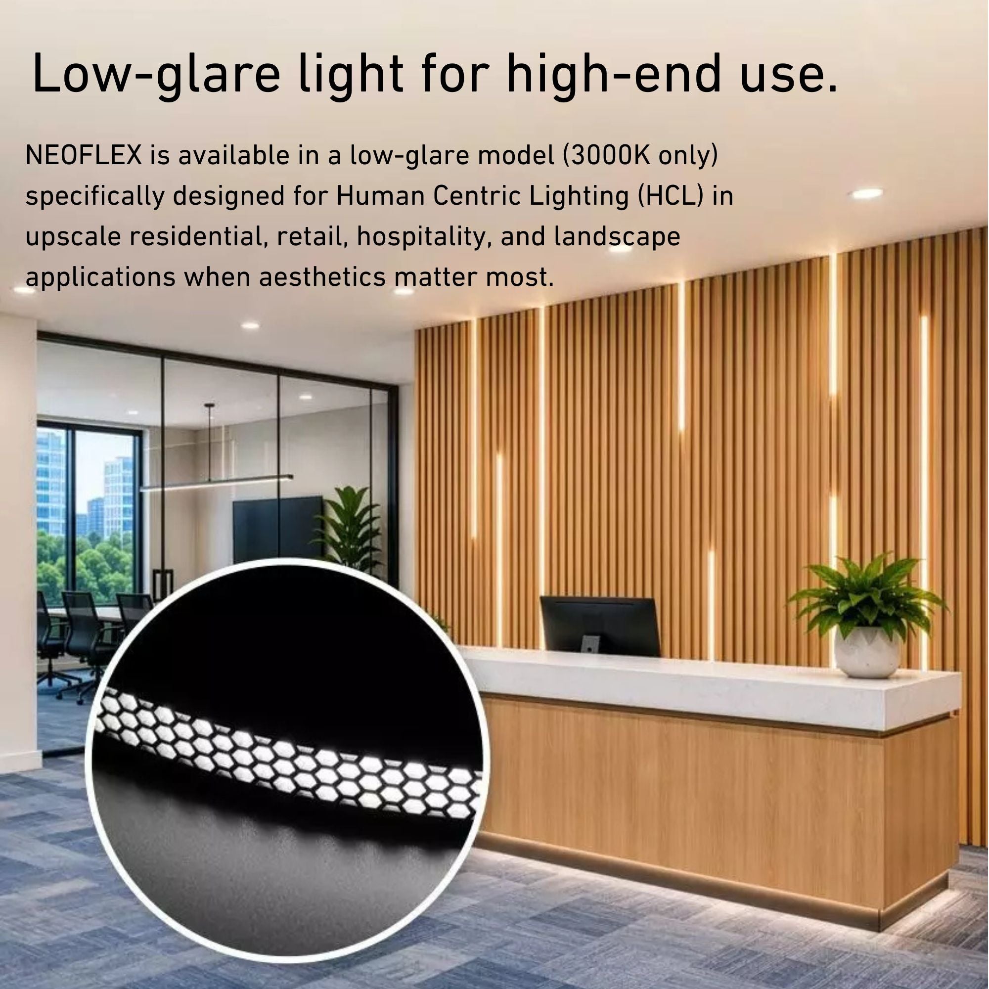 RAB NEOFLEX 16 ft Low Glare Neon Tape Light, IP67, 3000K, 40 Lumens/ft, 24V
