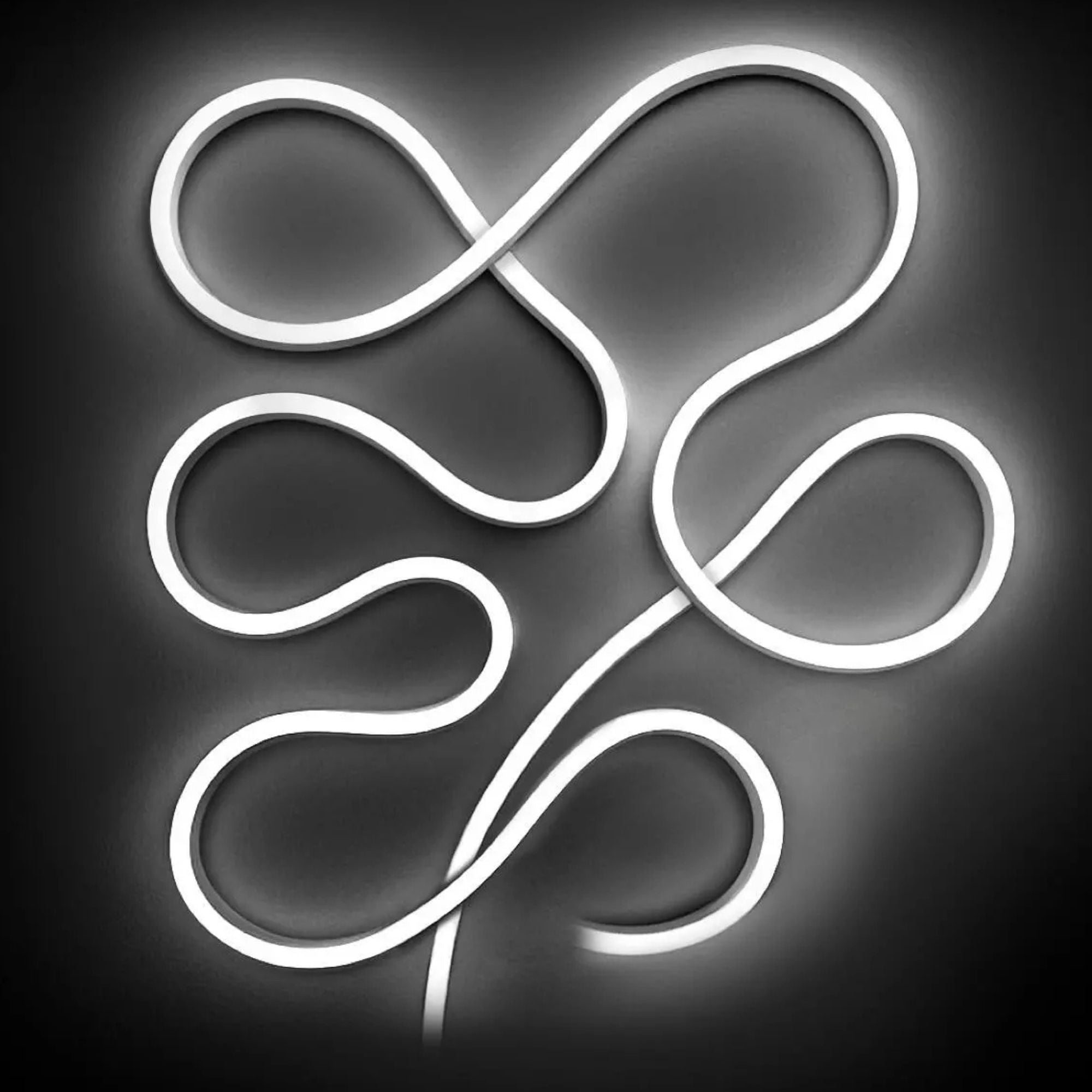 NEOFLEX Dual Bendable Neon LED Strip Light, 3000K, 16Ft Reel, 205 Lm/Ft, IP67 Wet locations, 24V - Bees Lighting