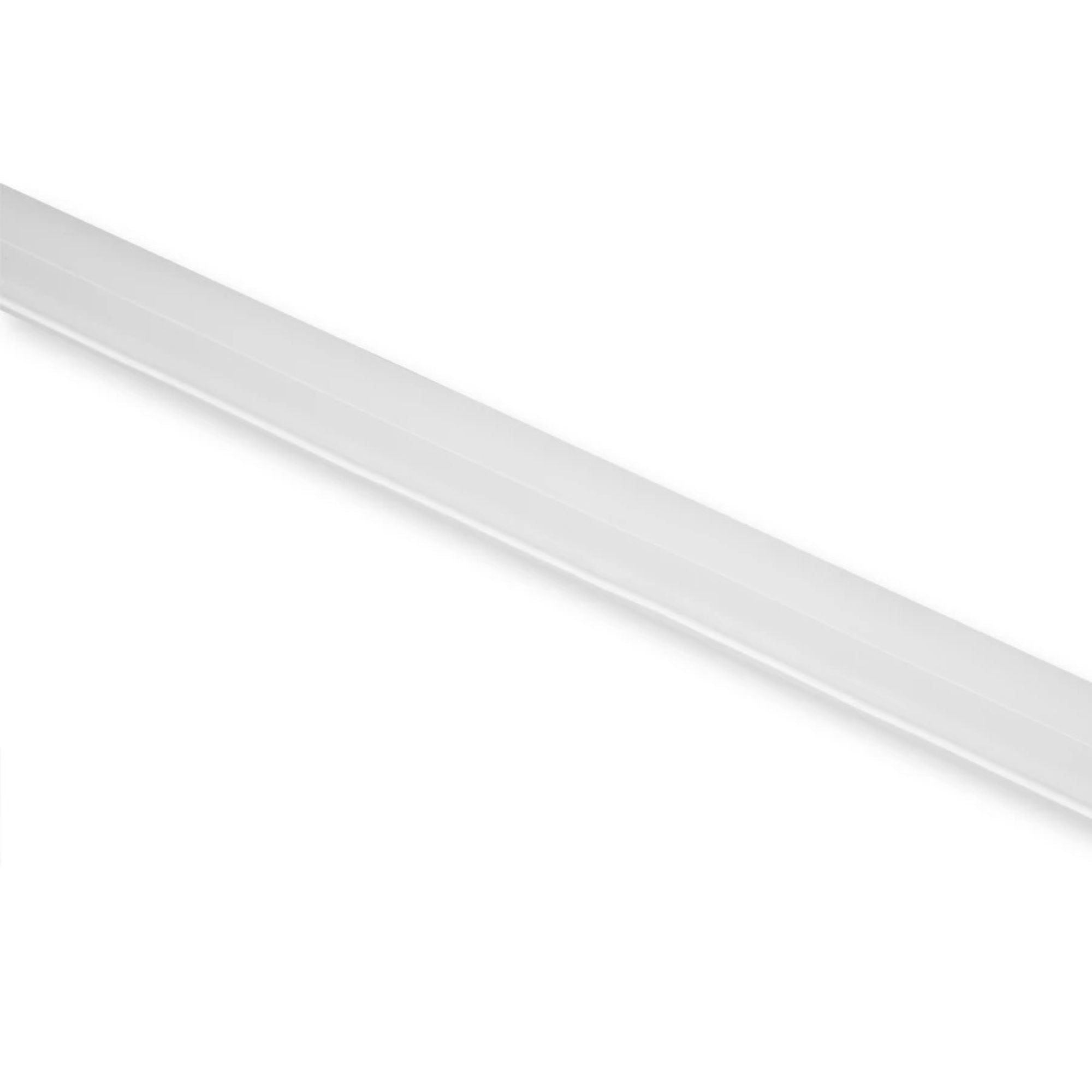 NEOFLEX Dual Bendable Neon LED Strip Light, 3000K, 16Ft Reel, 205 Lm/Ft, IP67 Wet locations, 24V - Bees Lighting