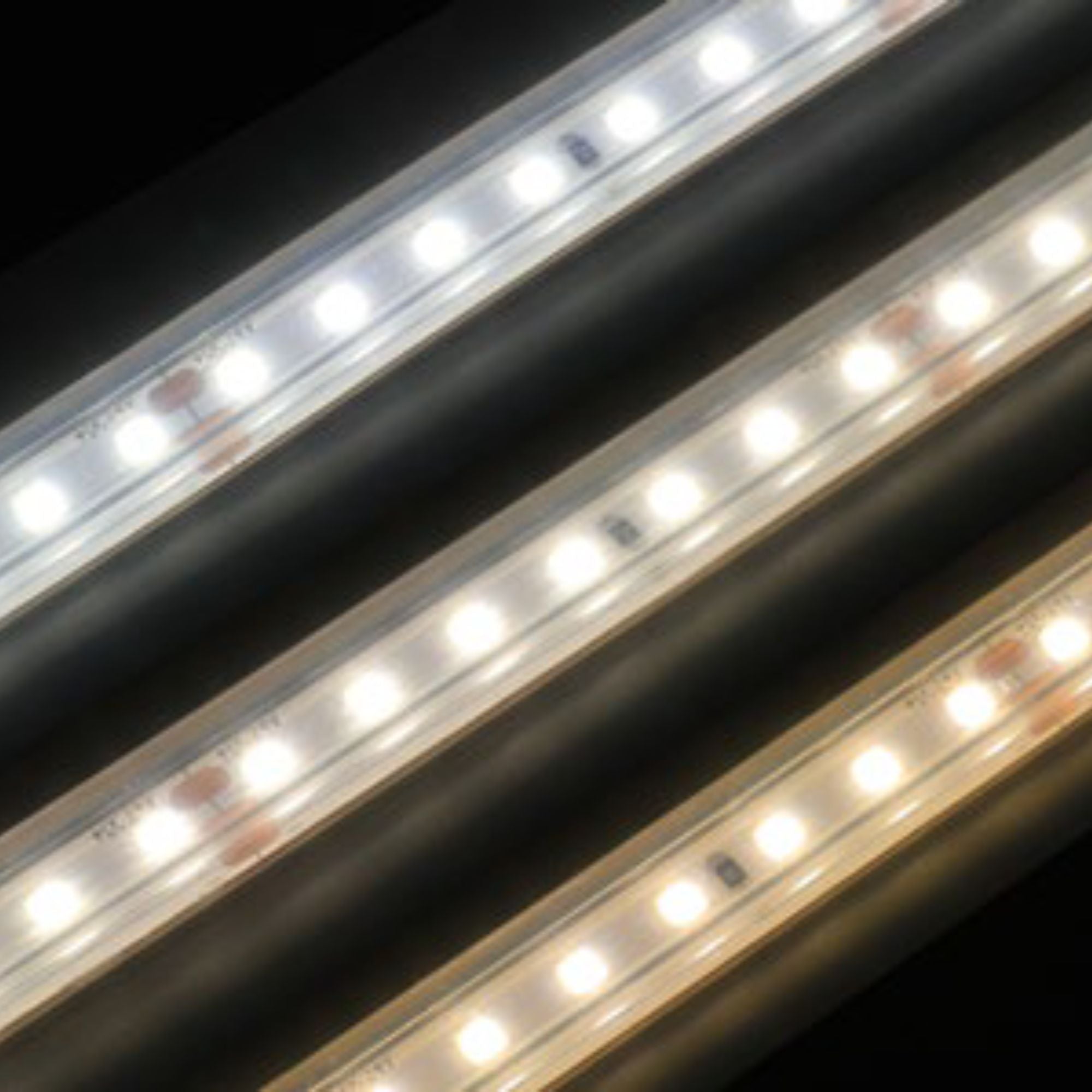 FLEXTAPE Wet Location LED Tape Light, 32.8Ft Reel, 4000K, 275Lm/Ft, 24V, IP67 Rated - Bees Lighting