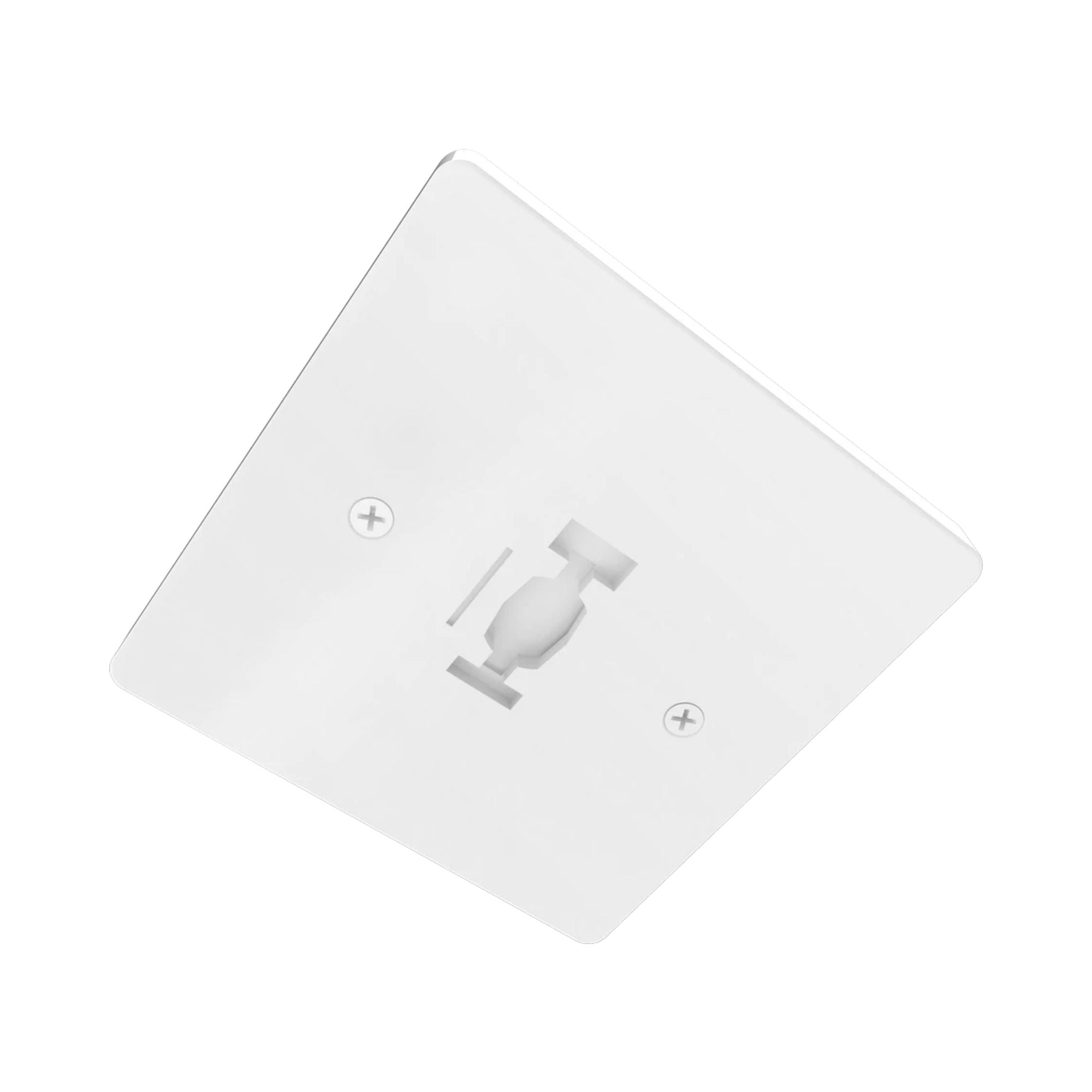 RAB Track Monopoint Luminaire Adaptor