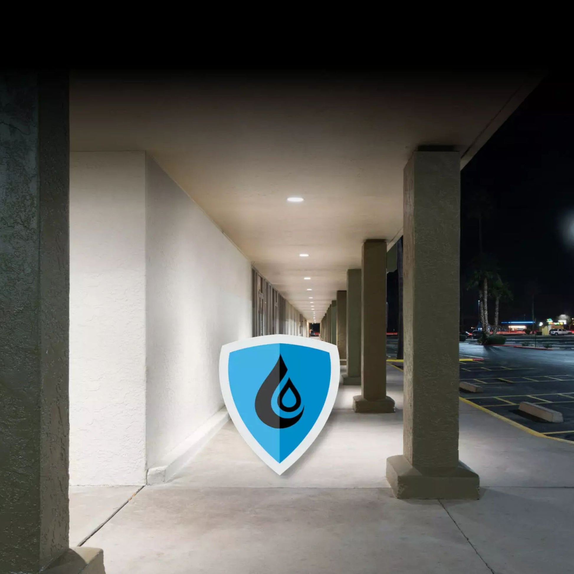 RAB Lighting - 6" Wattage and CCT Adjustable Commercial Downlight, 2300 Lm, 120-277V | Bees Lighting