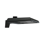 RAB A22 Field Adjustable LED Area Light - Bees Lighting