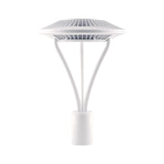 LED Post Top Light, 78 Watts, 9500 Lumens, 5000K, 120-277V, White - Bees Lighting