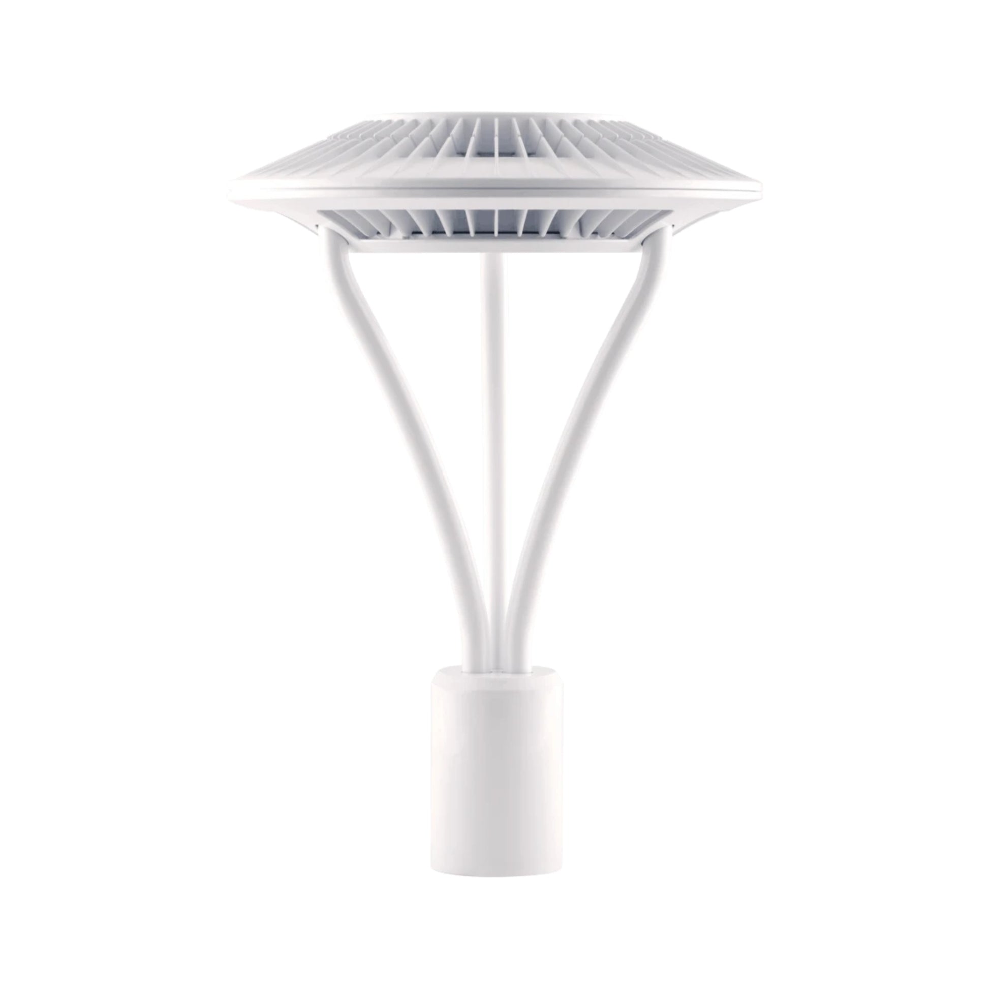 LED Post Top Light, 78 Watts, 9500 Lumens, 5000K, 120-277V, White - Bees Lighting