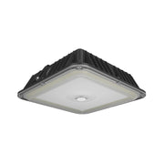RAB VAN17 3-Way Adjustable Canopy Light - Bees Lighting