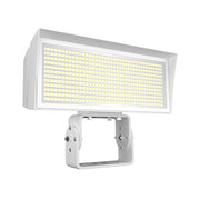 RAB FFLED Field Adjustable Flood Light, Trunnion Mount - Bees Lighting