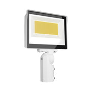 RAB X17 Flood Light, 2-Way Field-Adjustable, Slipfitter Mount - Bees Lighting
